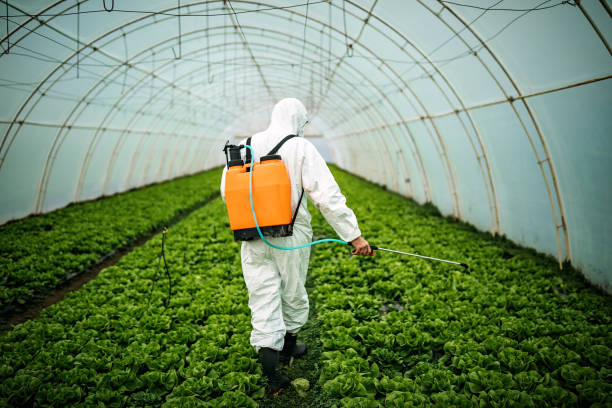 Best Wildlife Control Services  in Dixon, CA