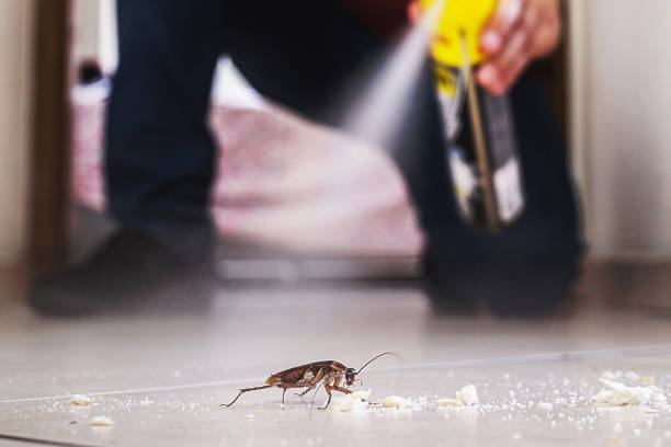 Best Mosquito Control Services  in Dixon, CA