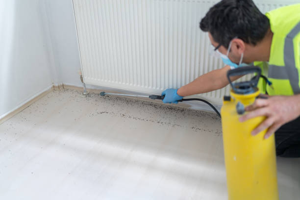 Best Mosquito Control Services  in Dixon, CA